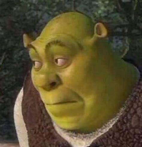Staring Donkey or Donkey Reaction refers to several Staring Animals reaction images of the character Donkey looking sad from the 2010 animated film Shrek Forever After. . Shrek reaction meme